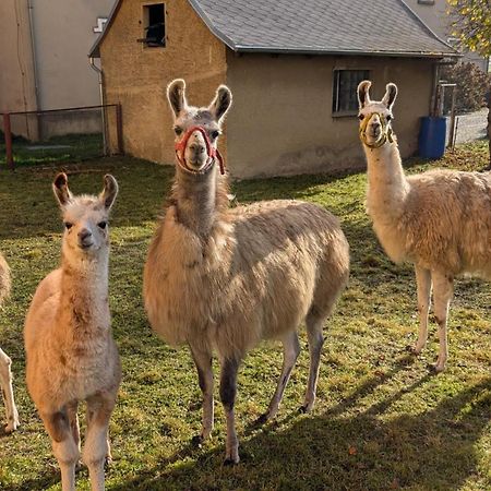 Ferienwohnungen Satkula Crostwitz Zewnętrze zdjęcie