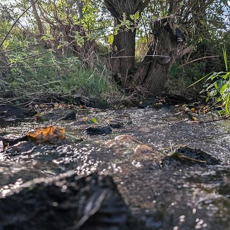 Ferienwohnungen Satkula Crostwitz Zewnętrze zdjęcie